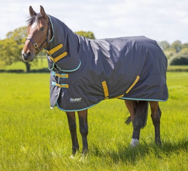 Shires Tempest Original 300g Turnout Combo Rug (RRP ÃÂ£92.99)